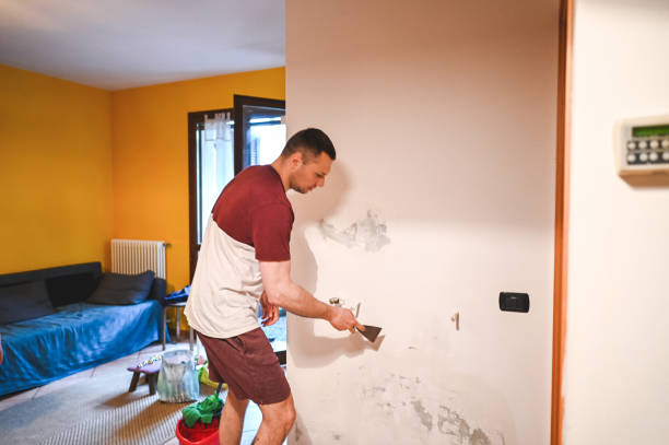 Best Fast Mold Removal  in East Canton, OH